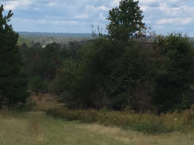 431 Us Hwy 431, Eufaula, AL 36027